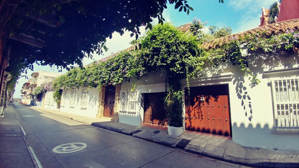 Quaint street with old buildings with vines and flowers. Wander&Prosper.