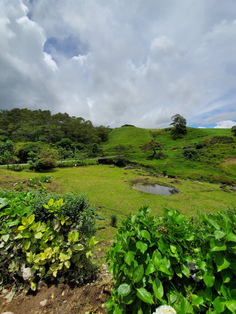 Mountain view with foliage. Costa Rica. Wander&Prosper.